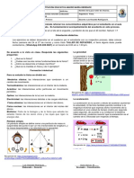 Guia Fisica Grado 6