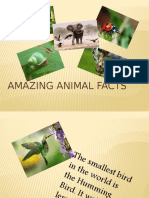 Amazing Animal Facts Fun Activities Games - 101800