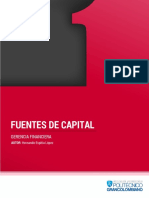 FUENTES DE CAPITAL GERENCIA FINANCIERA COLOMBIA.pdf
