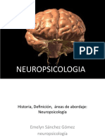 Historia, Definición, Áreas de Abordaje de La Neuropsicología