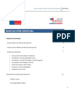 Guìa Educacion Especial.pdf