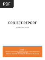 Project Report (Steel Structures)