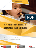 MATRIZ DE CAPACITACIÓN USO DE MICRONUTRIENTES Y ALIMENTOS RICOS EN HIERRO.pdf