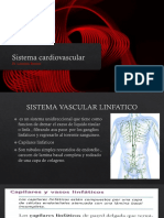 Sistema cardiovascular 2-convertido.pdf