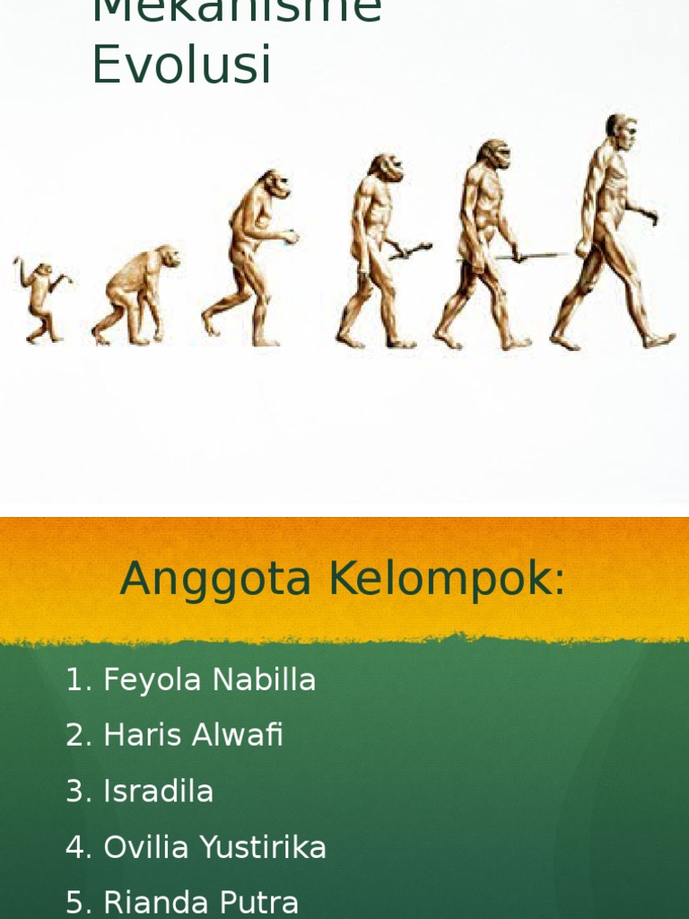 Mekanisme Evolusi | PDF