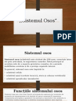 Sistemul Osos