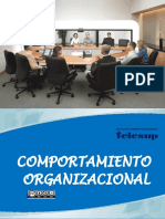 Comportamiento Organizacional PDF