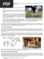Download Equine Body Condition Scoring by Albert Villasevil Florensa SN46003736 doc pdf