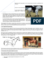 Equine Body Condition Scoring