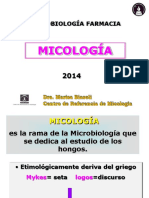 P. 1 Clase-Estructura Fungica-2014.pdf