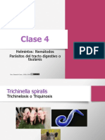 Clase 4. Parasitología