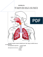 Referat Andreea PDF