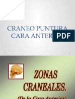 CRANEO PUNTURA Cara Anterior