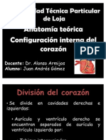 Anatomia Presentacion Corazon!