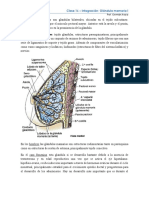 C16 - Integración - Glandula Mamaria III PDF