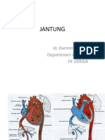 Jantung PDF