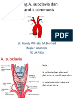 Cabang Arteri Subclavia dan Carotis