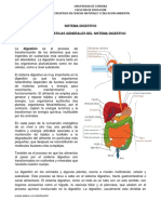 Sistema Digestivo 2020 PDF