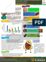 Póster Fisiología Final Finalsi