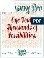 _Using Treasury Pro.pdf