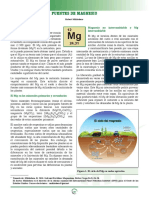 3. Fuentes de Magnesio.pdf