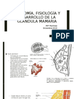 Anatomía, Fisiología y Desarrollo de La Glándula Mamaria