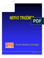 Estudo do nervo trigêmeo