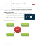 Desarrollo de proyectos de inversión.pdf