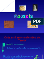 Fosseis