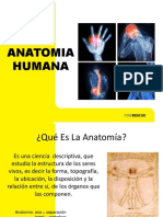 07 Anatomia