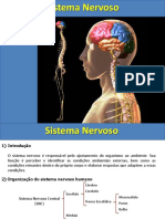 nervoso 3.pdf