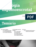 Patología inguinoescrotal