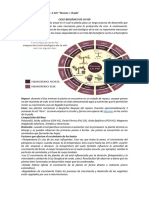 CICLO BIOLÓGICO DE LA VID (Guía y Práctico n7) 4to 1ra y 4to 2da PDF