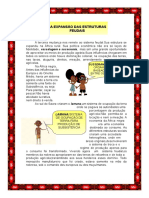 Livro 8 PDF