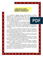 Livro 15 PDF
