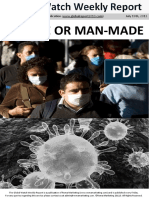 Nature or Man-Made PDF