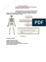 Sistema Locomotor Trabajo Primer Grado