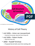 Cell Structure & Function: Source: Http://koning - Ecsu.ctstateu - Edu/cell/cell - HTML