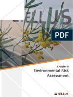 CH Eis - Chapter 06 - Environmental Risk Assessment