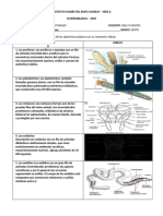 Guias Ciencias Naturales Sexto3