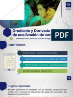 Gradiente y derivada direccional