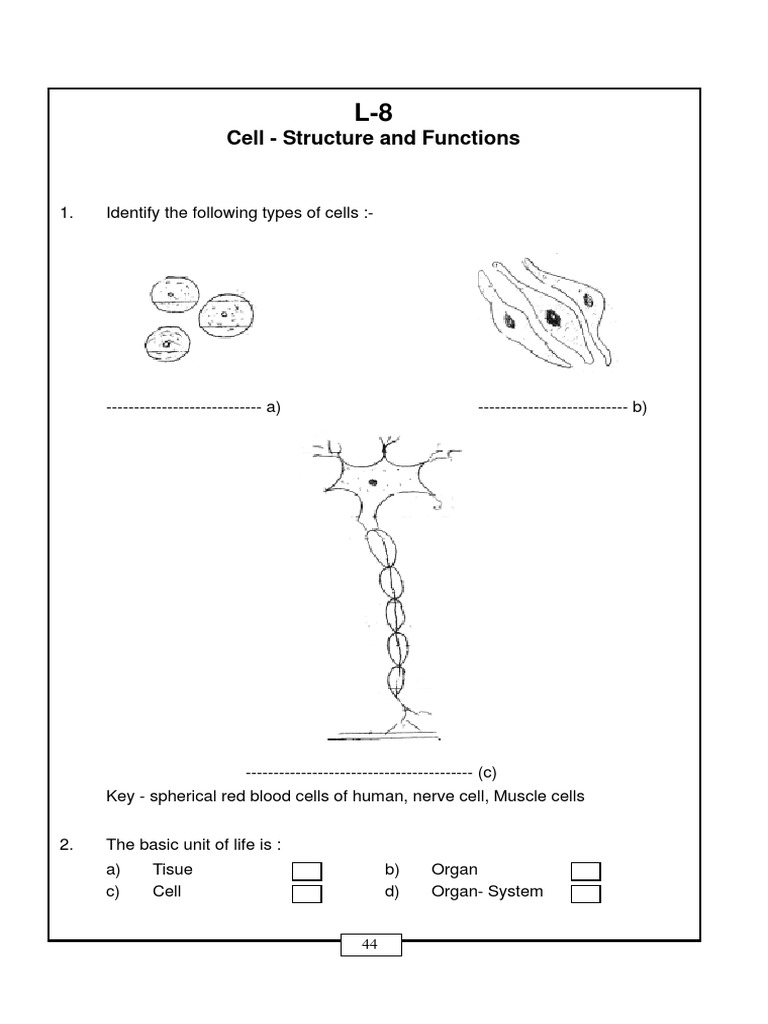 Class 8 Science Worksheet - Cell - Structure and Functions | PDF | Cell ...