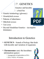 mendelian genetics (1).ppt