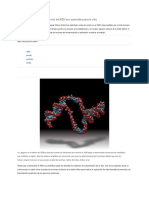 Vibraciones ultrasónicas abren el ADN para la replicación