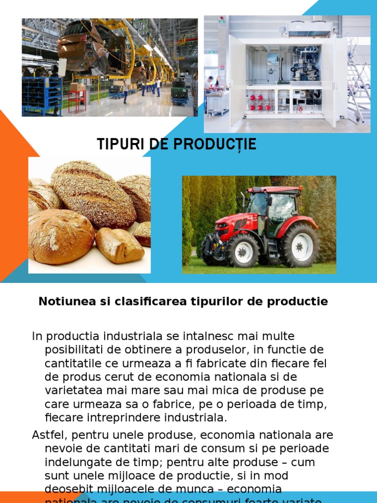 Prezentare Tipuri de Productie | PDF