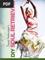 Download DIY Soul Retrieval by Jenny Funkmeyer SN46012980 doc pdf