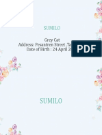 Sumilo: Grey Cat Address: Pesantren Street, Tangerang Date of Birth: 24 April 2020