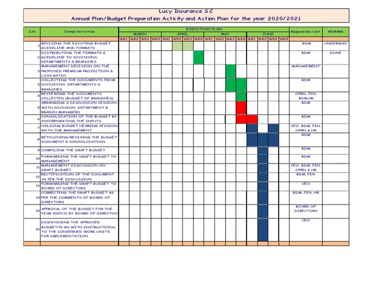 Lucy Insurance Budget Preparation 2020/21 | PDF | Government | Business