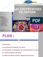 Exposé Final Cooperative Safrane