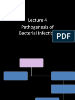 Pathogenesis of Bacterial Infection